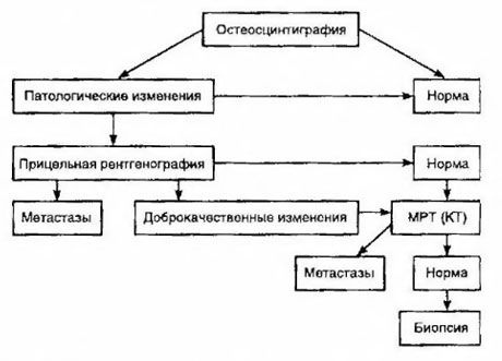 Taktyki dotyczące podejrzenia przerzutów do kości